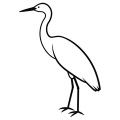 Line art | Outline Indian pond heron or paddy bird black silhouette -vector illustration