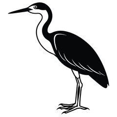 Obraz premium Indian pond heron or paddy bird black silhouette -vector illustration on white background