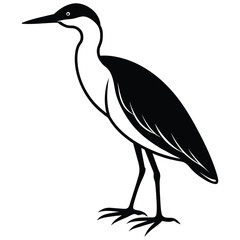 Obraz premium Indian pond heron or paddy bird black silhouette -vector illustration on white background