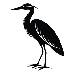 Indian pond heron or paddy bird black silhouette -vector illustration on white background