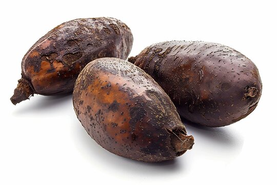 Bacaba, isolated on white