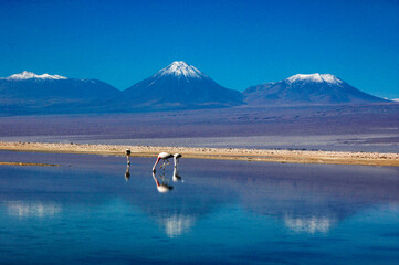Chile fotografias de San Pedro De Atacama Sudamerica