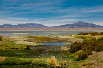 Chile fotografias de San Pedro De Atacama Sudamerica