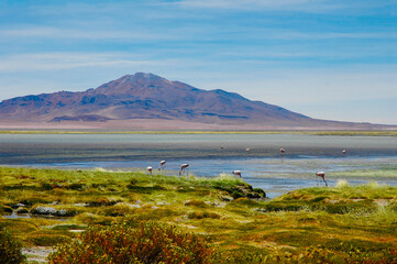 Chile fotografias de San Pedro De Atacama Sudamerica