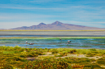 Chile fotografias de San Pedro De Atacama Sudamerica