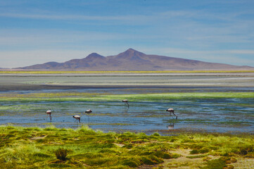 Chile fotografias de San Pedro De Atacama Sudamerica