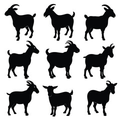 Set of American Pygmy Goat black Silhouette Vector on a white background