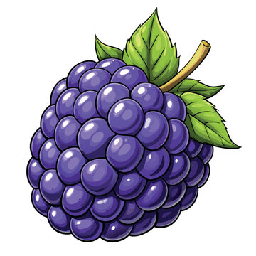 Blackberry cartoon vector Illustration flat style artwork concept