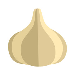 Flat design garlic