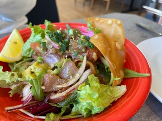 マグロとアボカド アヒポキボウル