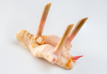 Galangal isolated on white background