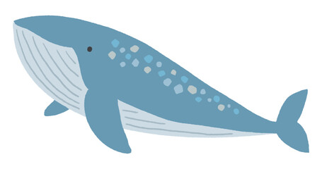 クジラのイラスト