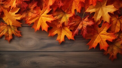 Fall background featuring vibrant autumn maple leaves