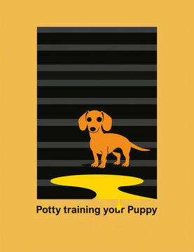 Formation pour l'apprentissage de la propret&eacute; des chiots texte en anglais "Potty training your Puppy" chiot assis devant une flaque d'urine sur un fond noir et beige