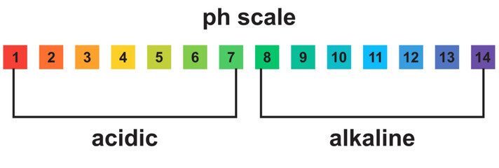 Ph level of acid and alkaline balance. Scale indicator for litmus paper test. Vector isolated infographics on white background.