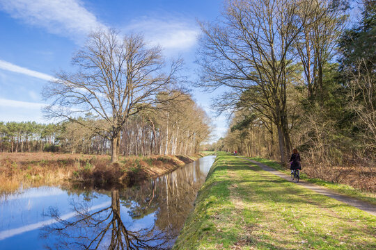 People riding their bicycle in forest of nature area Drents-Friese Wold, Netherlands
