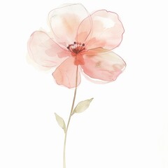 Watercolor painting of a minimalist flower with simple petals and a delicate stem, on isolated white background, Generative AI