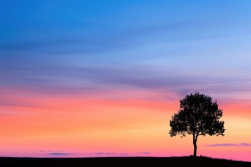 A tree stands alone in a field of grass, with a beautiful sunset in the background. The sky is a mix of pink and blue hues, creating a serene and peaceful atmosphere