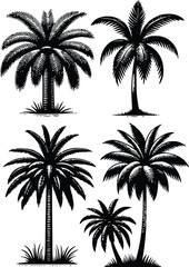 Palm tree silhouette vector