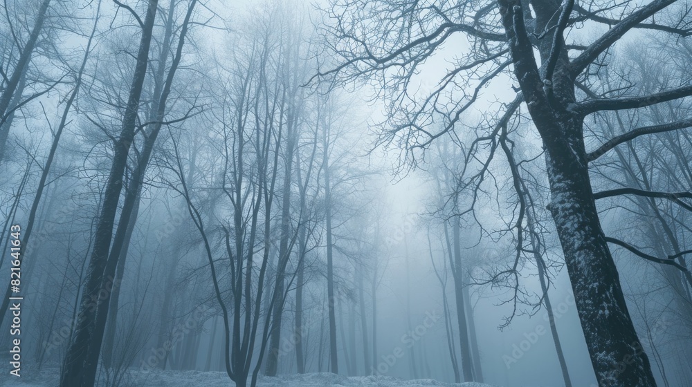 Poster a foggy forest with trees and snow. the sky is cloudy and the trees are bare