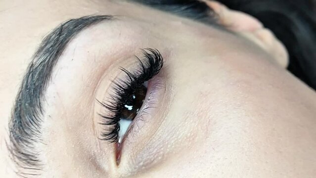 Close up of eye with eyelash extensions ,beauty salon treatment ,2d volume, 3d volume, classical lashes,Russian volume,megavolume, new set.