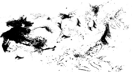 Fototapeta premium Grunge black and white pattern. Monochrome particles abstract texture. Background of cracks, scuffs, chips, stains, ink spots, lines. Dark design background surface. Gray printing element