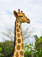 Artistic Detail: Close-Up of Giraffe Statue Head in Park