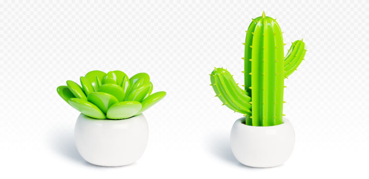 3d cactus in pot. Succulent home plant render. Isolated house interior decoration icon. Green cacti growth for indoor office garden in summer. Decorative exotic houseplant front view collection