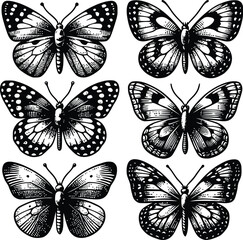butterfly silhouette vector