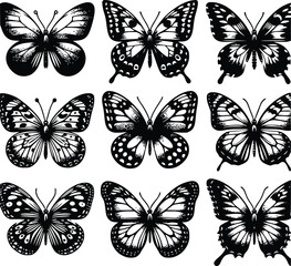 Fototapeta premium butterfly silhouette vector