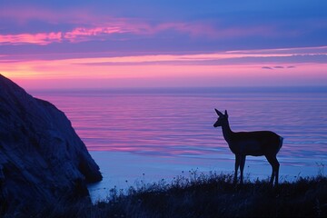 Deer Silhouette Against Vibrant Coastal Sunset