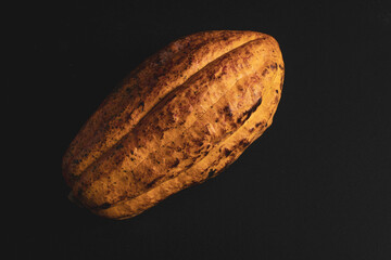 Fresh cacao fruit isolated on a black background.