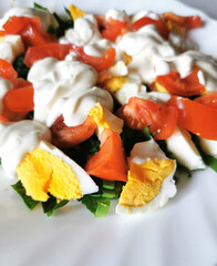 vegetable salad with tomato and eggs