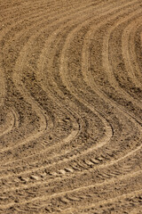 preparing the soil for planting plants in agriculture