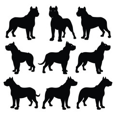 Set of Black American Bulldog Silhouette Vector on a white background