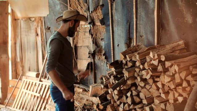 Lumberjack in hat stacks firewood in barn