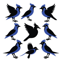 Set of Blue jay animal black Silhouette Vector on a white background