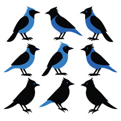 Set of Blue jay animal black Silhouette Vector on a white background