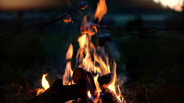 Roasting food over campfire toasting marshmallows on sticks






