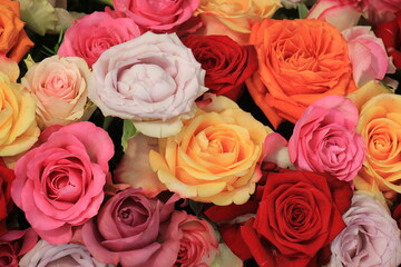 Colorful wedding roses