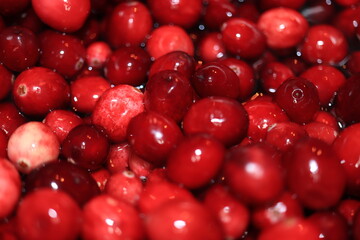 Homemade cranberry sauce