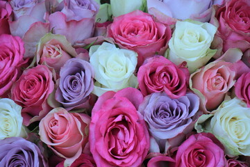  pink and purple mixed wedding roses
