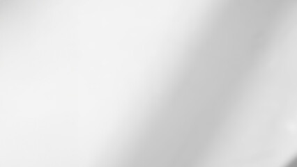 Obraz premium Shadow Background Abstract Leave Overlay Wall Floor Light Effect White Plant Sunlight Backdrop Mockup Minimal Spring Summer Nature Grey blur Photography Scene Template Poster Card Frame Product.
