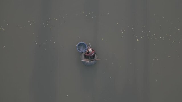 Fisherman collecting fishes in his net with a buey