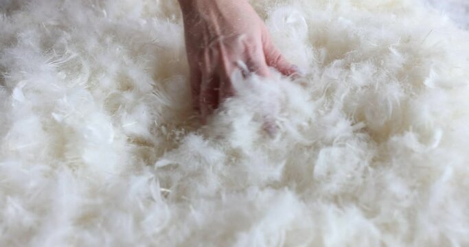 Hand fluffs white natural goose feathers