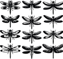 Obraz premium Dragonfly silhouette vector