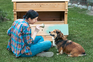 Woman painting a wooden furniture while sitting with her dog in the garden. DIY, working together concept.
