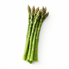 asparagus isolated on a white background