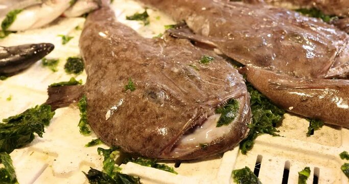Closeup of monkfish displayed on market stall