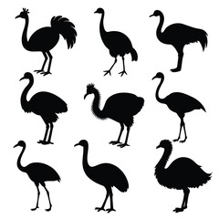 Set of Emu animal black Silhouette Vector on a white background